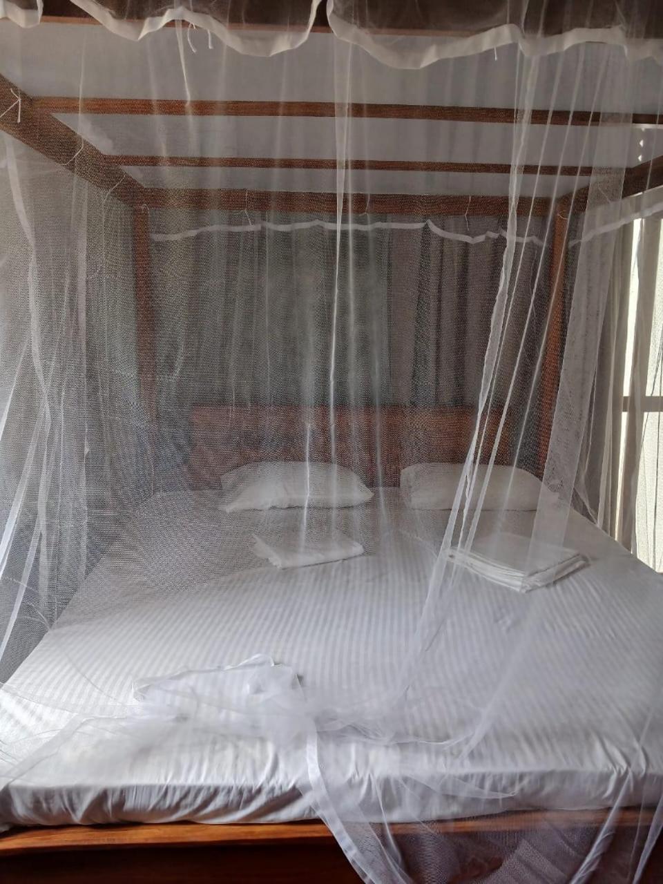 Ima House Bed & Breakfast Dikwella Dış mekan fotoğraf